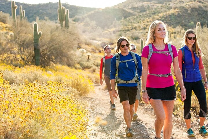 Half-Day Sonoran Desert Hiking Tour - Photo 1 of 5